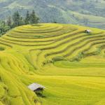 Green Valley Land – Texas